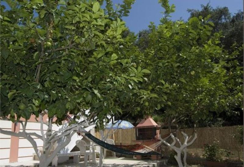 Paraskevi Apartments Paleokastritsa Exterior photo